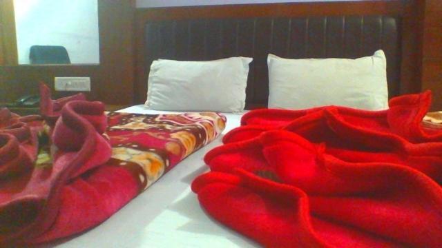 Sahara International Deluxe Hotel New Delhi Cameră foto
