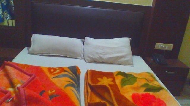 Sahara International Deluxe Hotel New Delhi Cameră foto